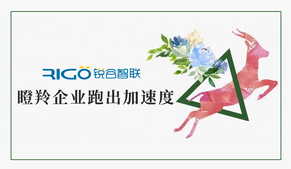 火炬高新區(qū)助力“瞪羚”企業(yè)跑出加速度，超半數(shù)分布廈門軟件園